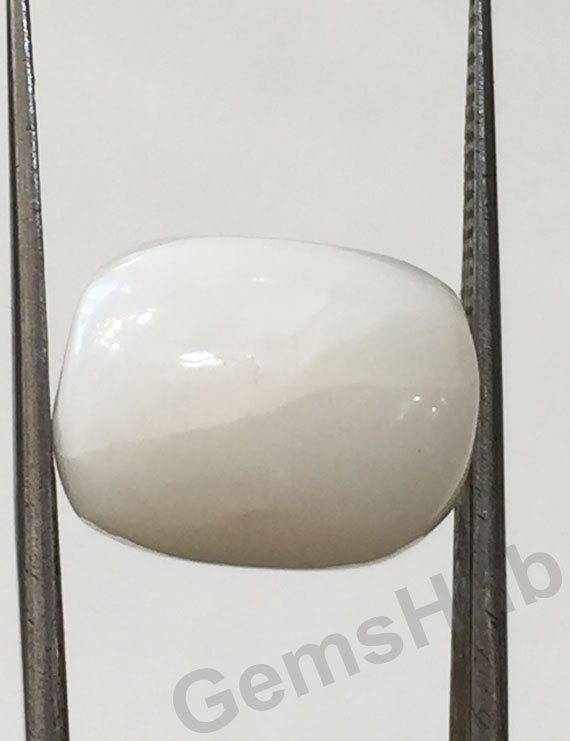 9.96 ct Natural Certified  White Coral/सफ़ेद मूंगा